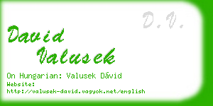 david valusek business card